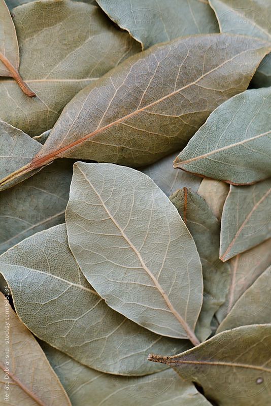 Bay Leaves