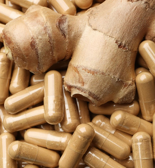 CAPSULES GINGER